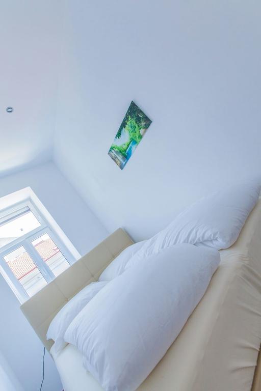 Apartament Market & Free Parking